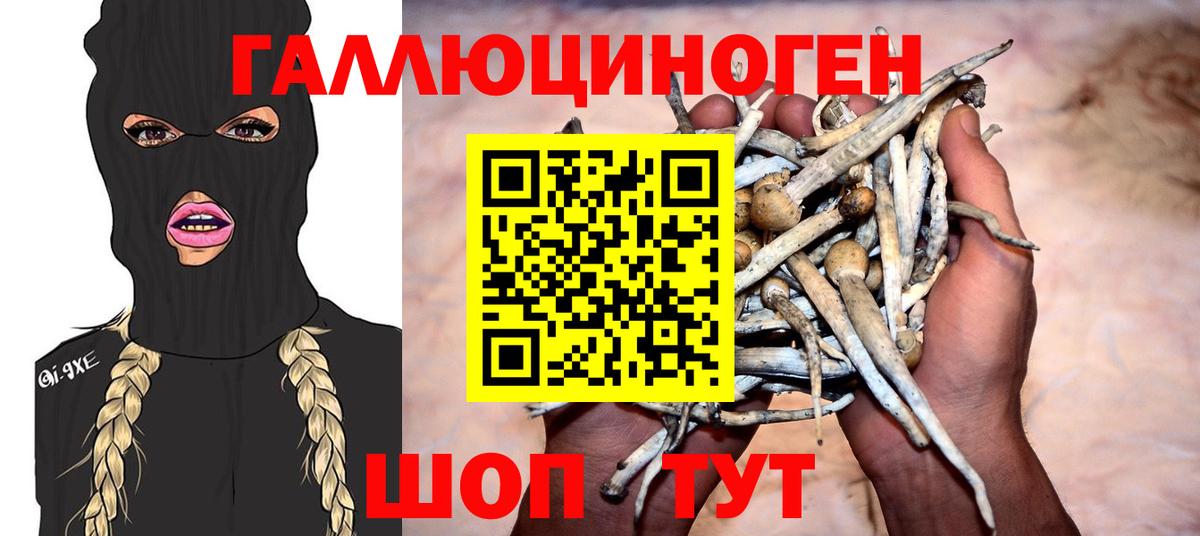 Галлюциногенные грибы мицелий Ростов-на-Дону
